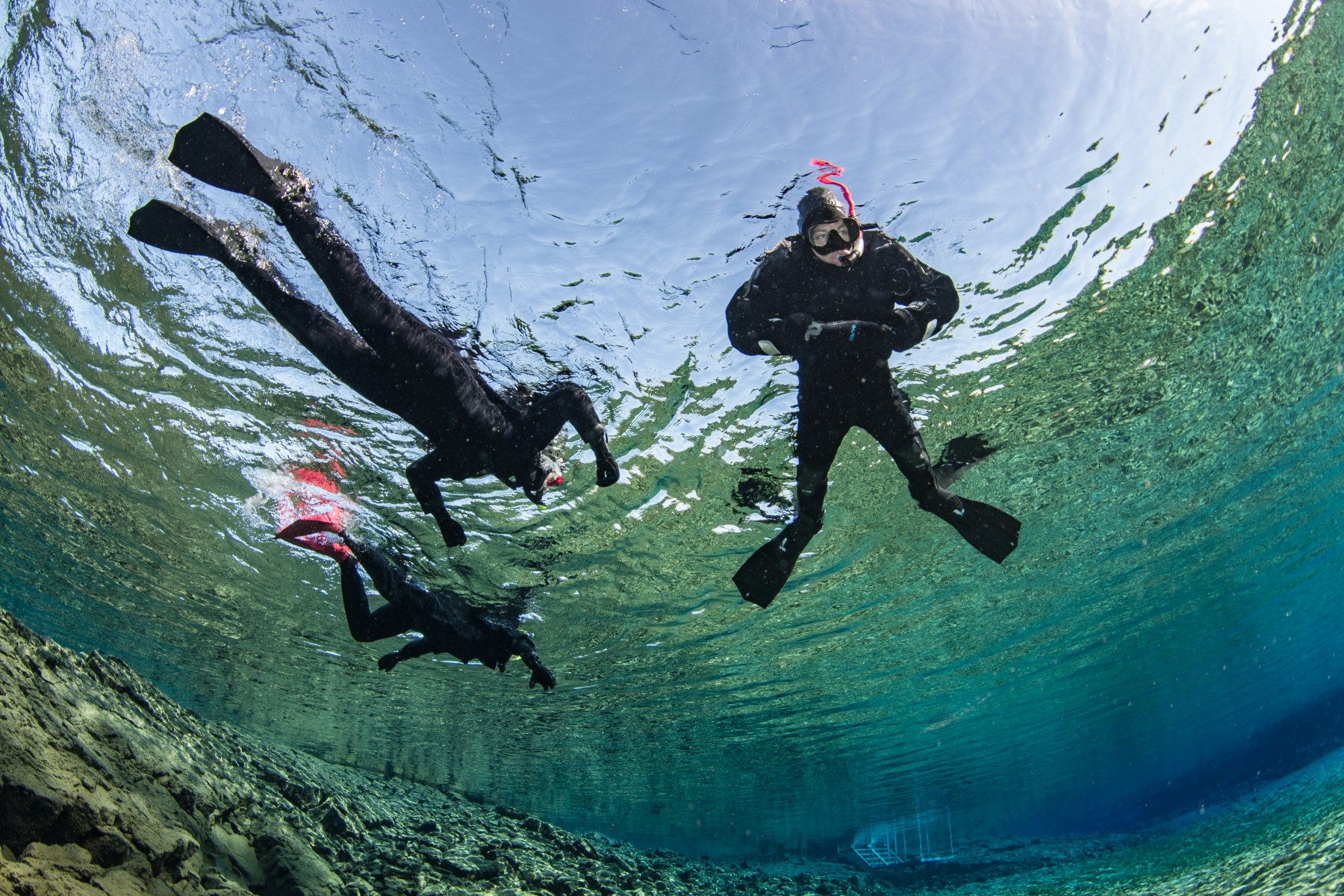 giancarlo-snorkeling-with-group-customers-silfra.jpg