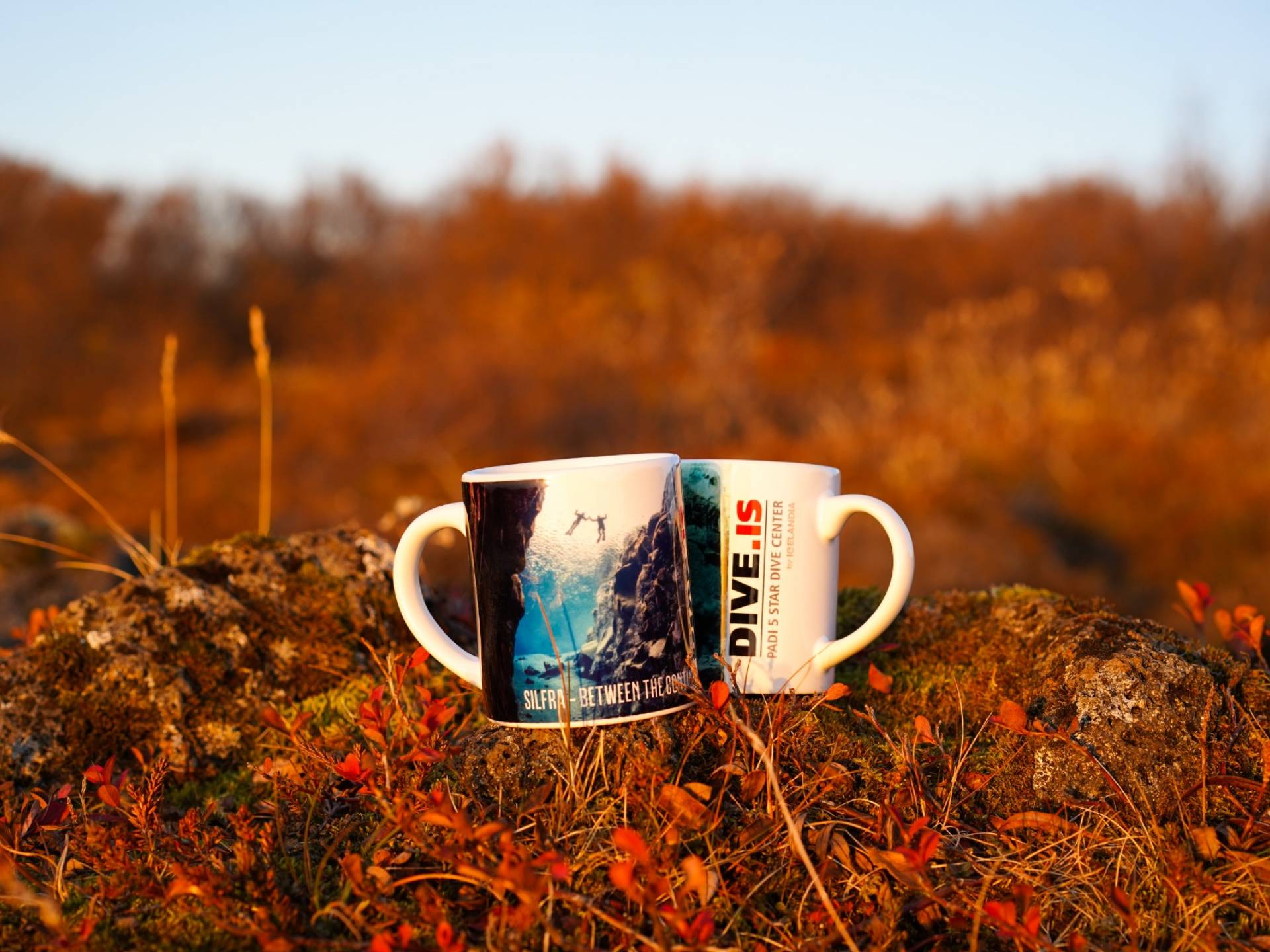 dive.is-mugs-2.jpg