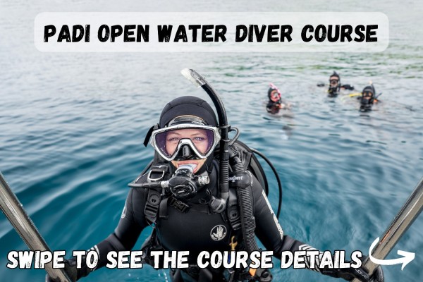 dive.is-padi-open-water-diver-course-1-600x400.jpg