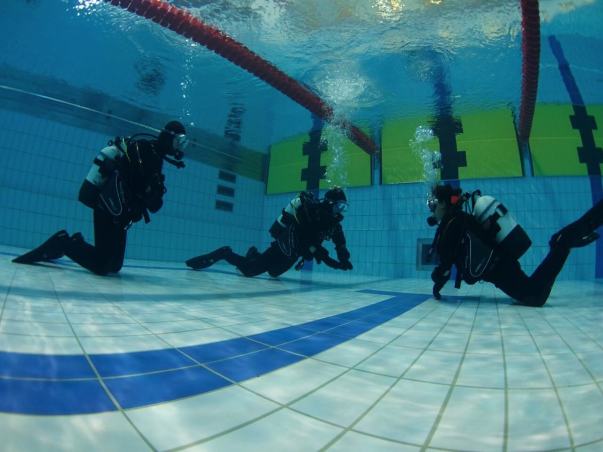 Dry Suit Diver Course - DIVE.IS - Iceland