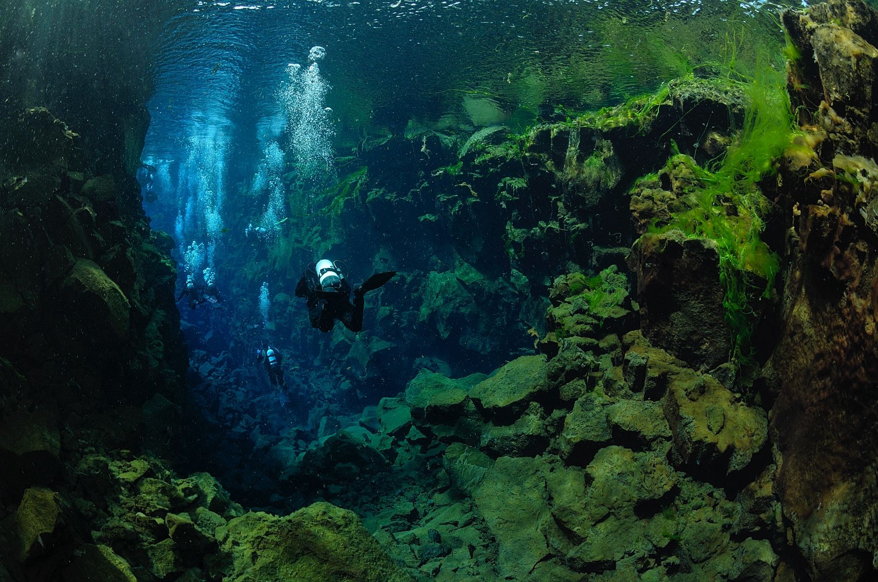 PADI Dry Suit Course & Silfra Diving Tour in 2 Days - DIVE.IS - Iceland