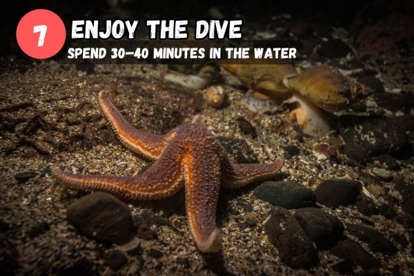 You will spent between 30-40 min enjoying the dive.