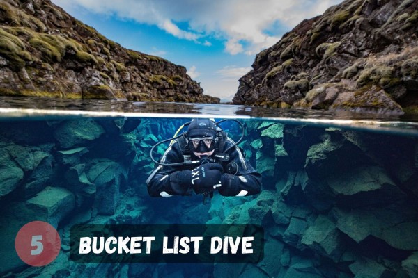 Complete this bucket list dive!