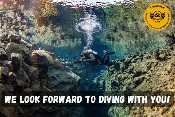 We look forward to diving with you.