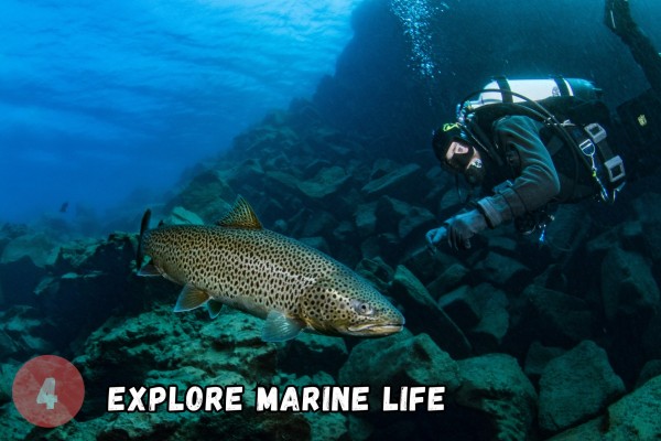 dive.is-private-davidsgja-fissure-dive-tour-silfra-darker-sibling-explore-marine-life-9-600x400.jpg