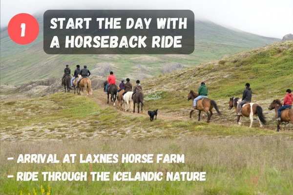 Start the day with a horseback ride starting from Laxnes Horse Farm.