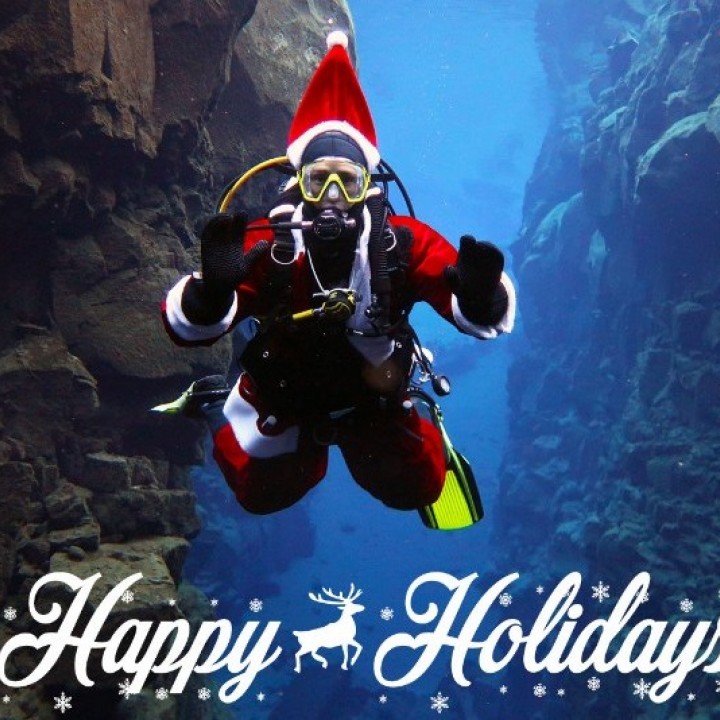 happy-holidays-from-dive.is-720x720.jpg